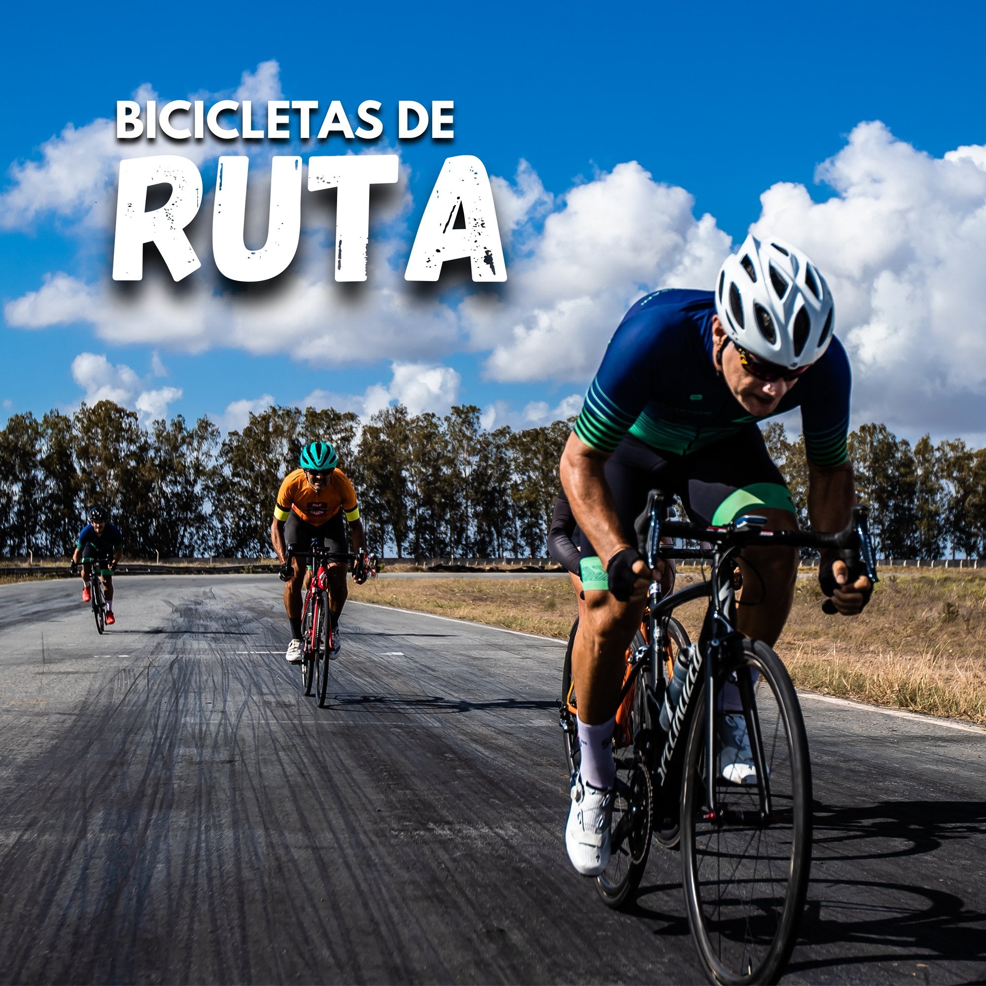 Bicicletas Ruta - Homesaleco