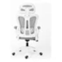 Silla Oficina Ergonomica Reclinable Ajuste Altura Posacabeza Gris Nylon / Policarbonato / Metal