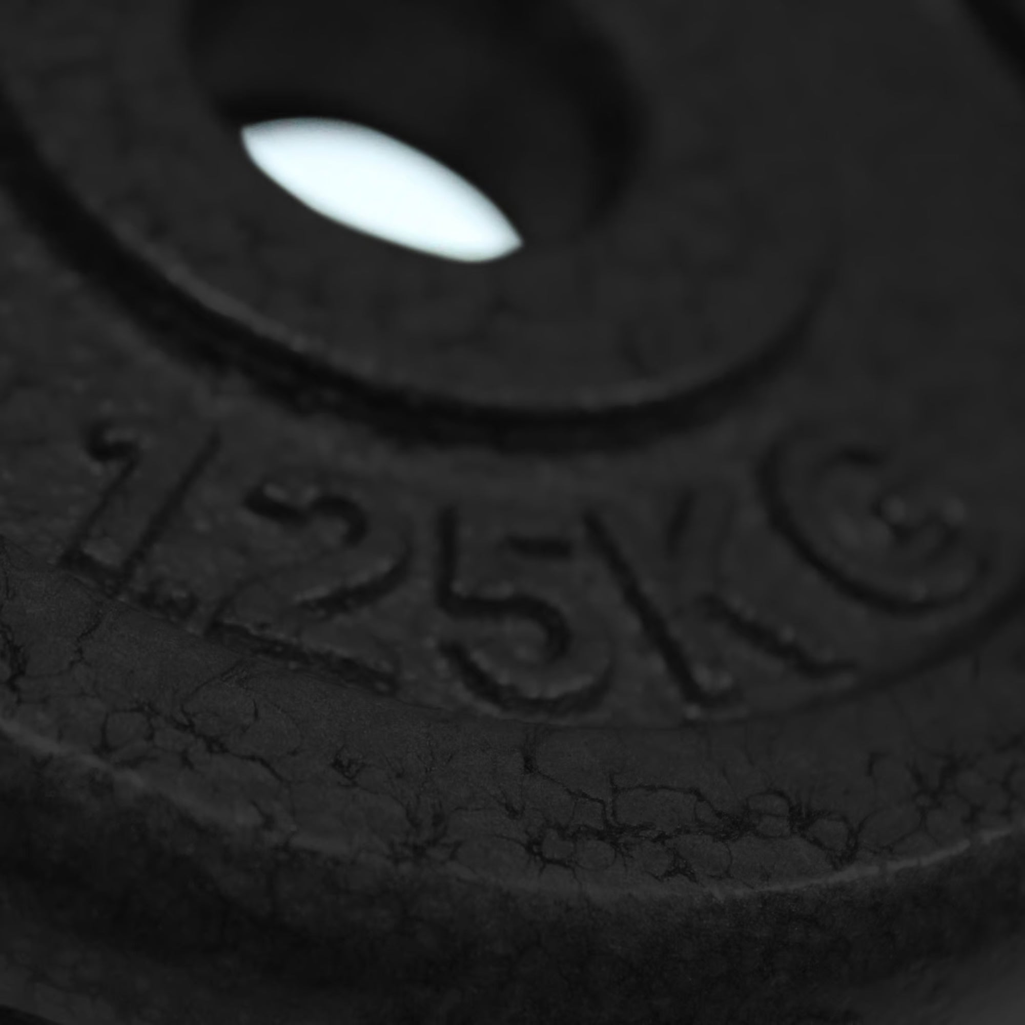 Disco de Pesas de 1,25 kg en Hierro Fundido – Resistencia y Calidad para tu Entrenamiento - Fitness - Homesale | HS - PEDS1.25KG