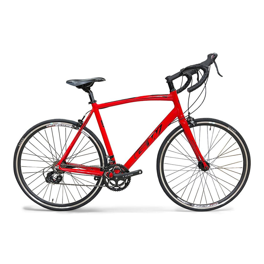 GW Gavia